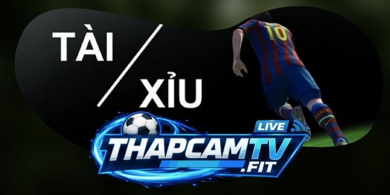 Tỷ Lệ Kèo Tài Xỉu Là Gì? Cách Đọc Và Soi Kèo Chuẩn Nhất